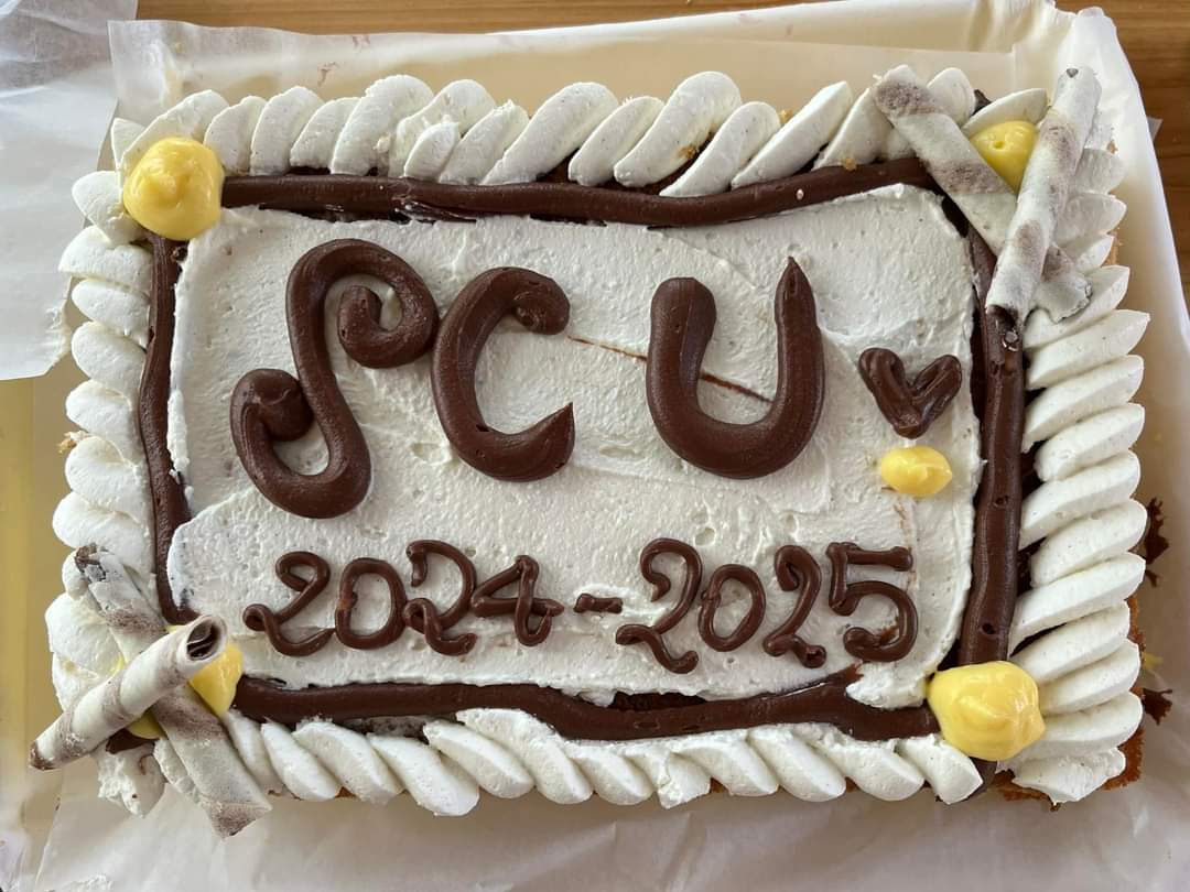 SCU Il lavoro per progetti